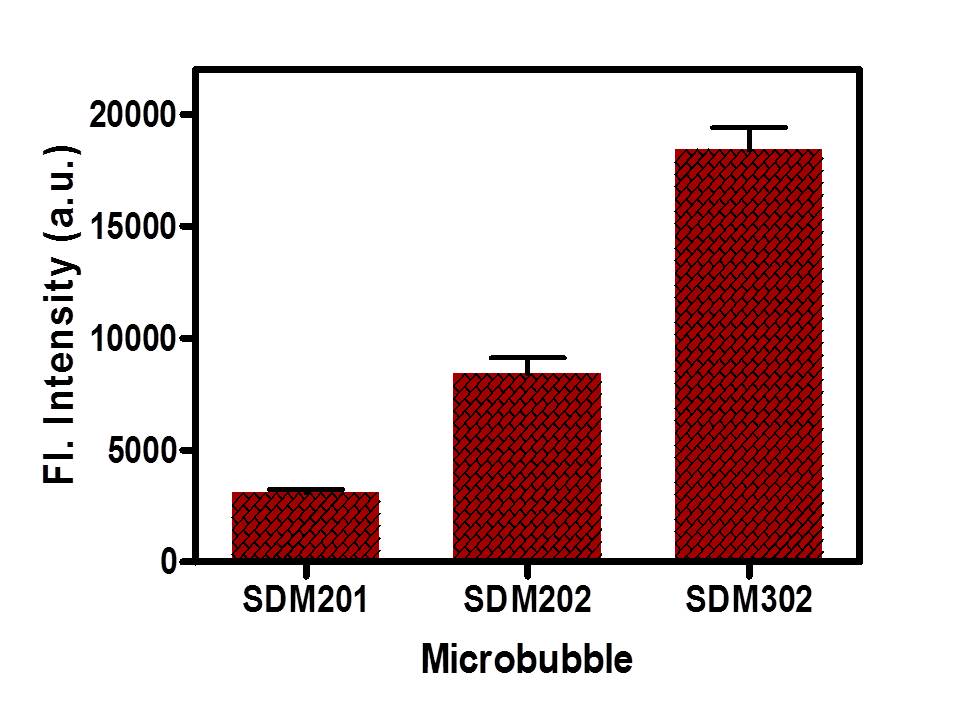 Fluorescence emitted by the DNA-ethidium complex bound on microbubbles attached on cells Fluorescence emitted by the DNA-ethidium complex bound on microbubbles attached on cells